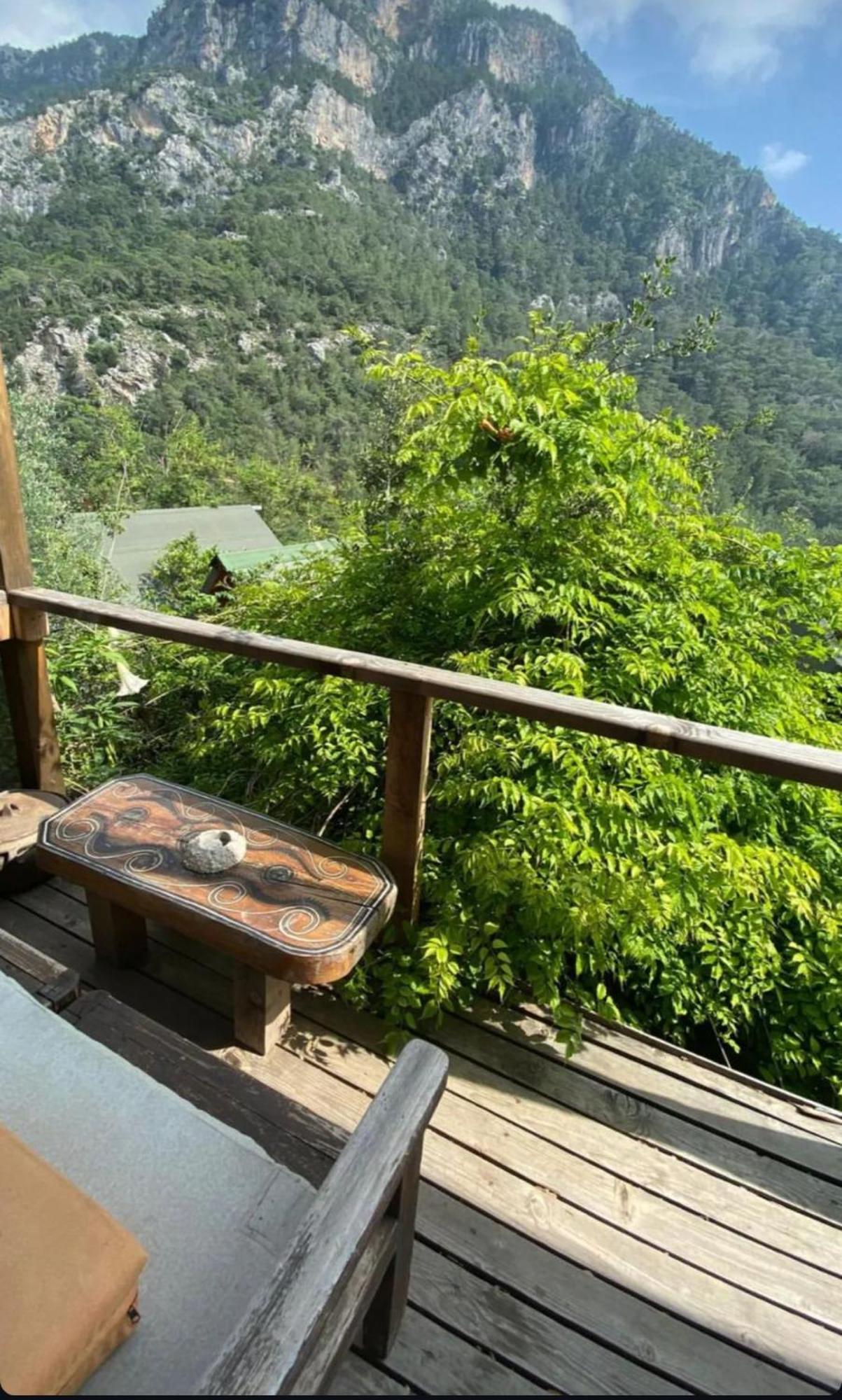 Resort Kaplumbaga *