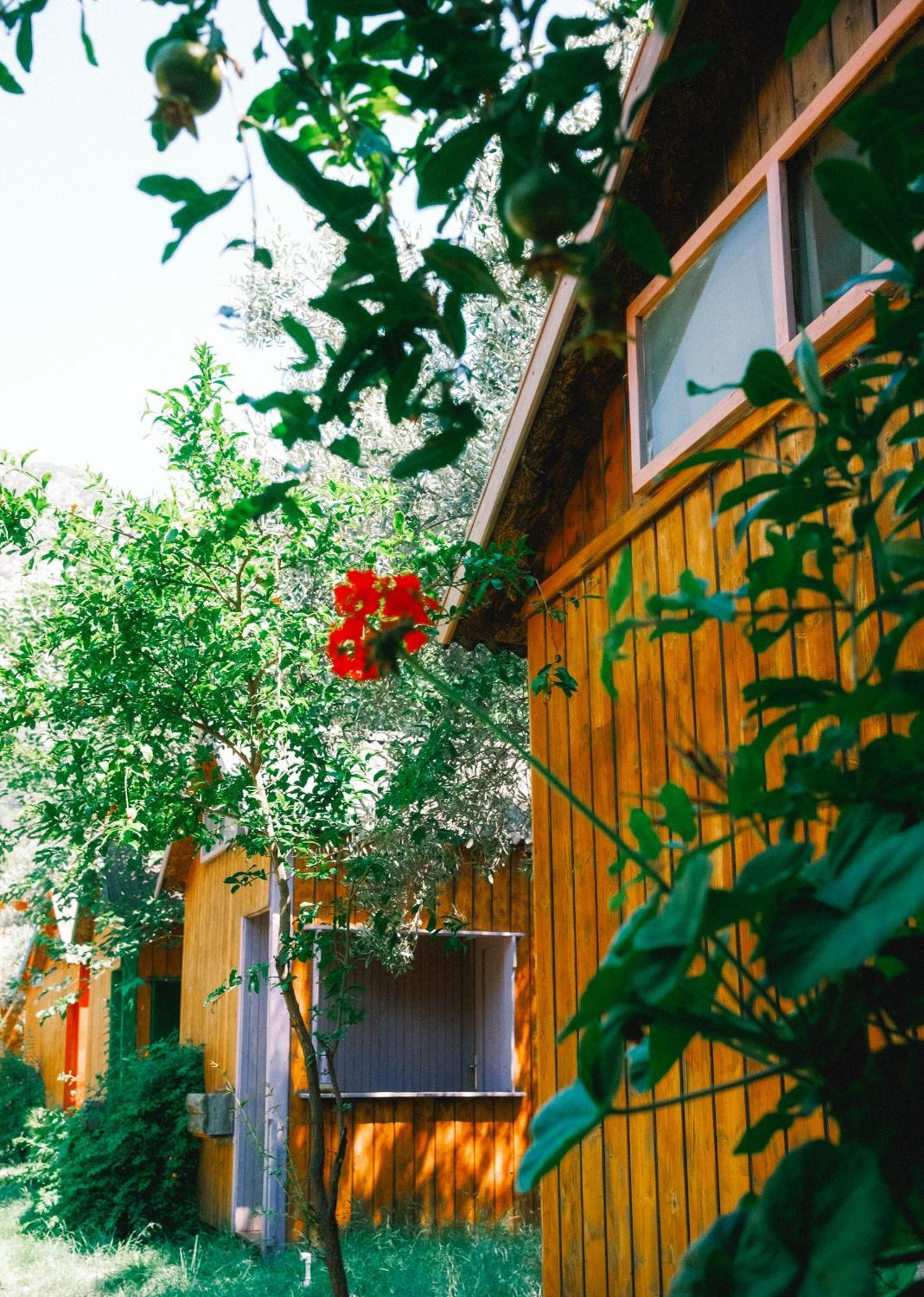 Kaplumbaga Resort Fethiye